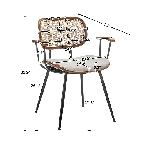 Mid Century Modern Rattan Dining Chairs Set of 2