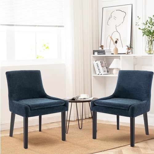 Modern Blue Dining Chairs Set of 2