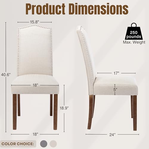 Stylish Dining Chairs with Nailhead Trim and Solid Wood Legs, Set of 2, Cream