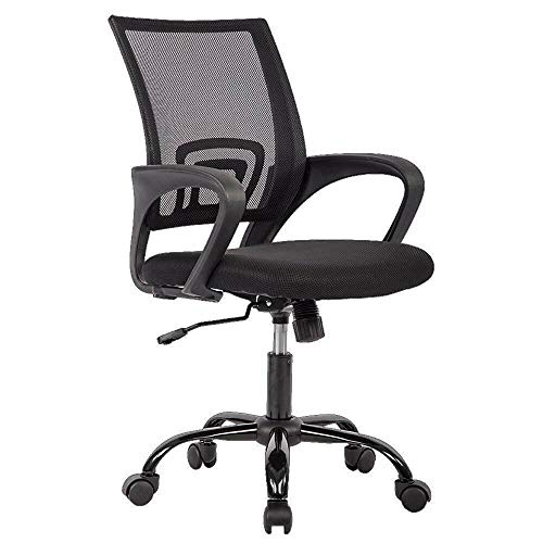 Ergonomic Mesh Office Chair with Lumbar Support for Back Pain (Black)

Target Audience: Individuals seeking a budget-friendly and comfortable office chair for back pain relief.