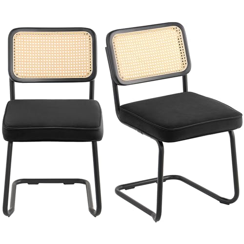 Mid Century Modern Rattan Dining Chairs Set of 2 for Living Room or Bedroom