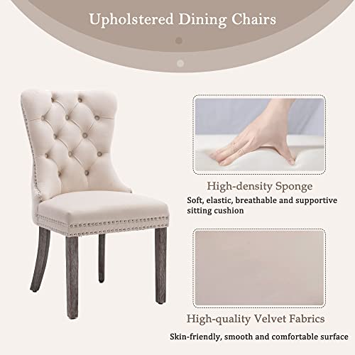 Modern Style Beige Velvet Dining Chairs Set of 2 for Kitchen
