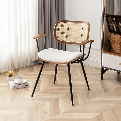 Mid Century Modern Rattan Dining Chairs Set of 2