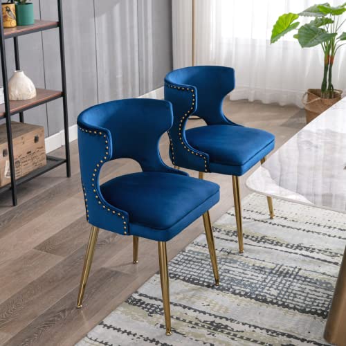 Mid Century Modern Blue Velvet Dining Chairs, Gold Legs, Set of 2